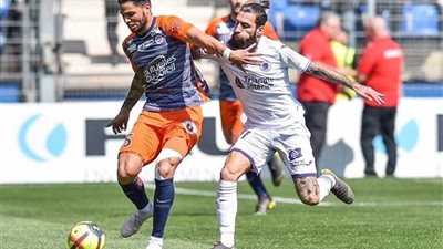 مونبلييه يفوز على تولوز (1/2) في الدوري الفرنسي