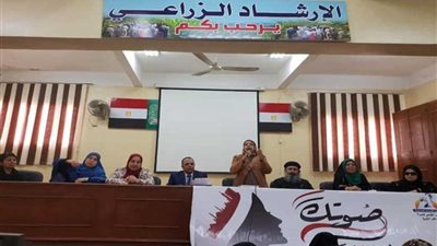 حملات توعية لأهمية المشاركة في الاستفتاء بـ