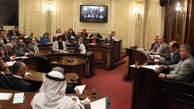 خارجية النواب: الحكومة أطلقت مبادرة 