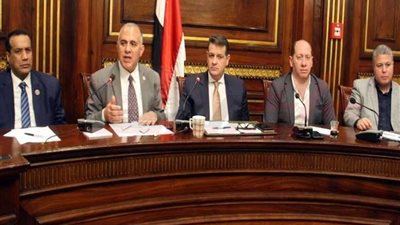 وزير الري يشرح للنواب أهمية المجلس الثقافي الإفريقي