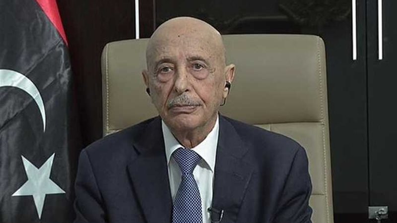 رئيس مجلس النواب