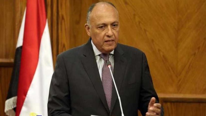 وزير الخارجية يعقد