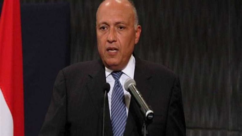 وزير الخارجية يؤكد
