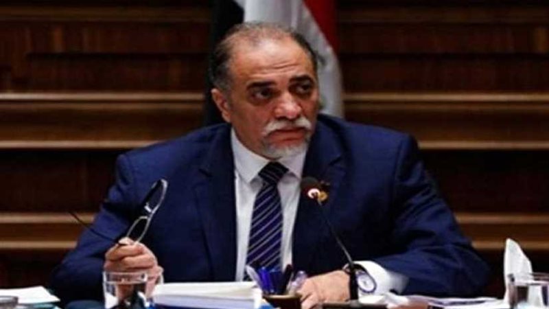 رئيس ائتلاف دعم مصر: