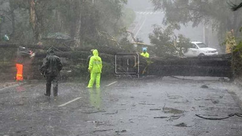 مصرع 3 أشخاص بسبب