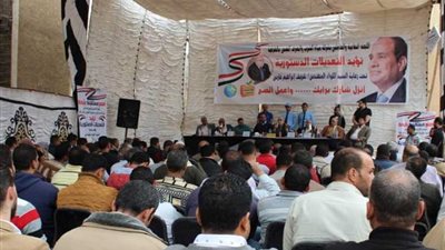 اصطفاف مواطني الشرقية والإسكندرية خلف التعديلات الدستورية