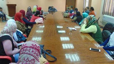 محافظة القاهرة: المشاركة بالاستفتاء مسؤولية وطنية