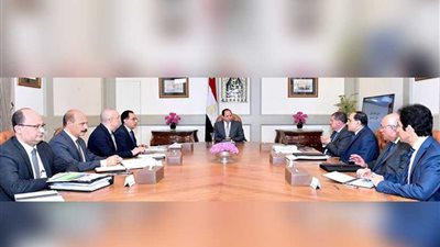 الرئيس السيسي يوجه بمواصلة جهود تطوير شركات قطاع الأعمال العام