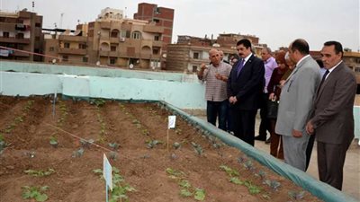 محافظ القليوبية يتفقد تجربة زراعة أسطح مدرسة 