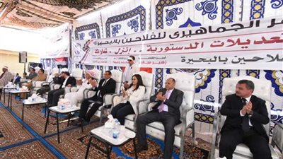 مؤتمر حاشد عن التعديلات الدستورية بكفر الدوار 