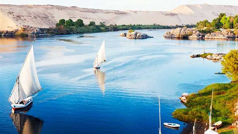 الرى تنتج سلسلة أفلام