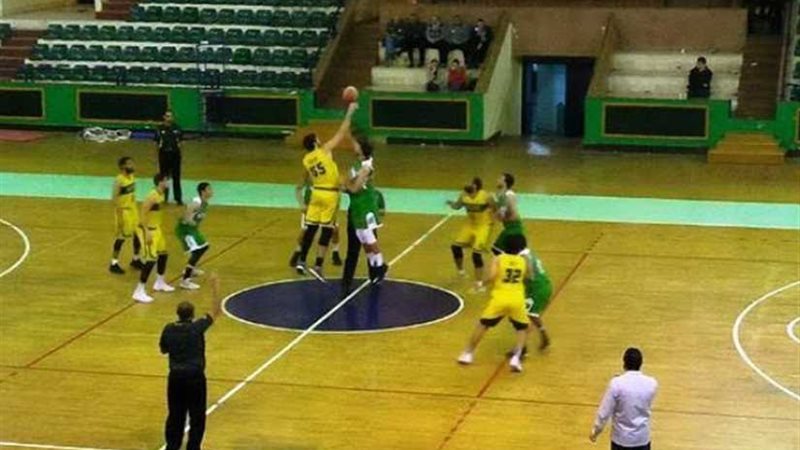 اليوم سلة الجزيرة