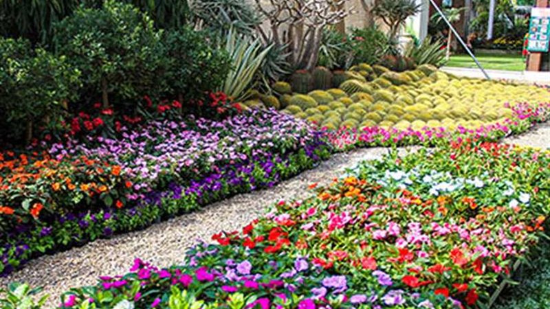 افتتاح معرض زهور