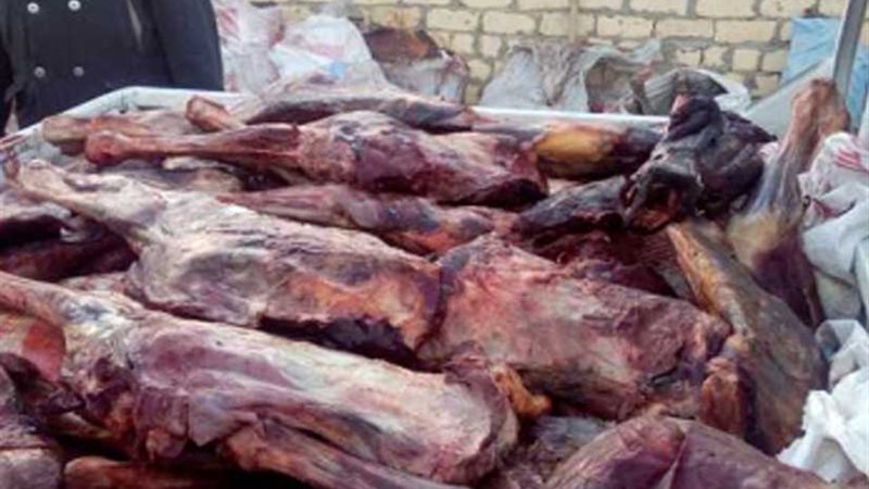 الزراعة: ضبط أكثر