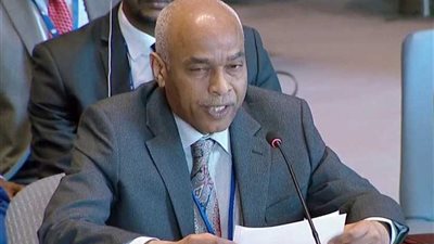 دبلوماسي سوداني بالأمم المتحدة: لا مبرر لكي يتناول مجلس الأمن ما يجري ببلدنا