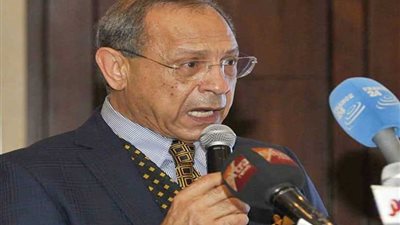 رئيس الحركة الوطنية: التعديلات الدستورية عبور جديد للبلاد