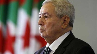 الرئيس الجزائري المؤقت يستقبل الناشط الحقوقي ميلود براهيمي