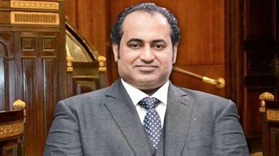 أمين جنوب الصعيد بـ«مستقبل وطن»: المشاركة في الاستفتاء «واجب وطني»