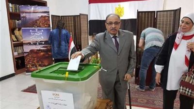 المصريون بالإمارات والعراق والبحرين يدلون بأصواتهم في الاستفتاء على التعديلات الدستورية