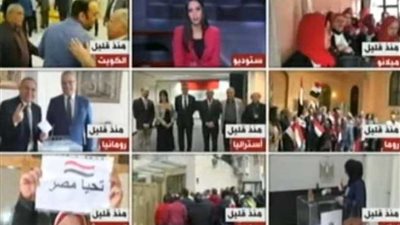 سفير مصر لدى هولندا: تم تسهيل كافة الإجراءات لإتمام عملية الاستفتاء.. (فيديو)