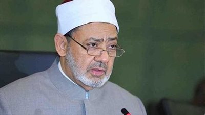 الطيب يعلق على قتل ١١ كاميرونيا حرقًا: 