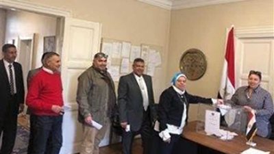 الخارجية .. المصريون في النرويج يشاركون بحماس في الاستفتاء على الدستور