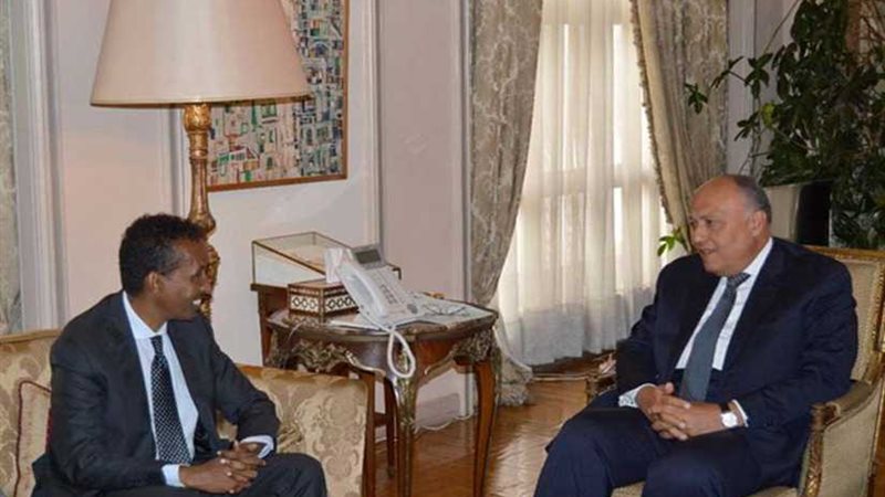 سامح شكري يؤكد على