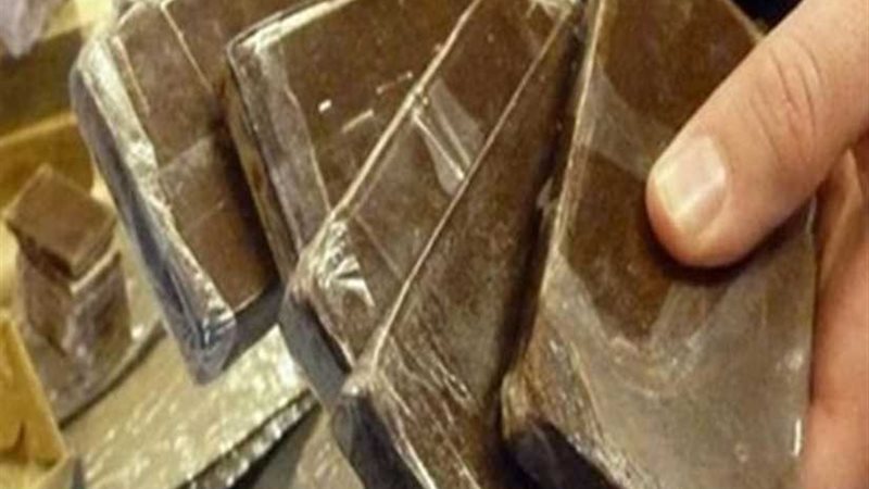 ضبط 80 طربه حشيش