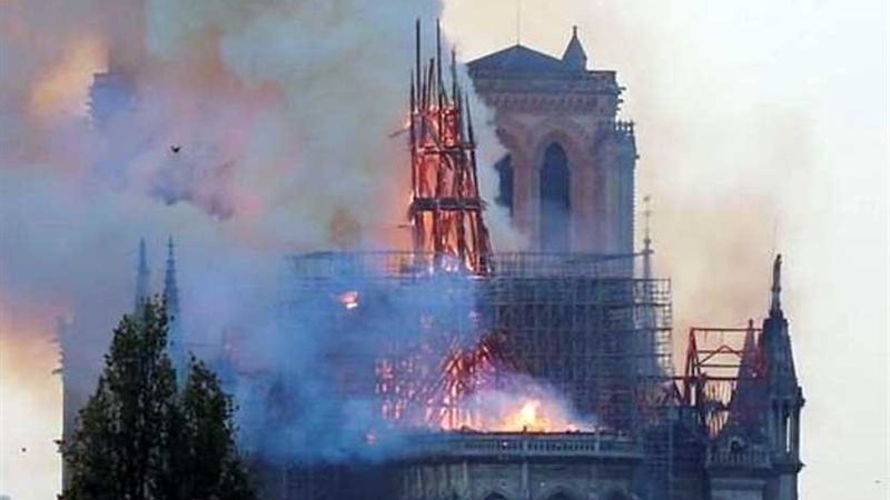 السعودية تعلن تضامنها