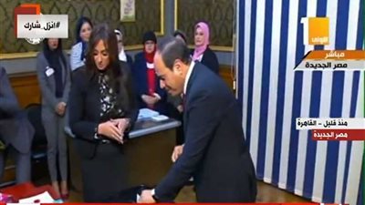 السيسي يدلي بصوته في الاستفتاء على التعديلات الدستورية 
