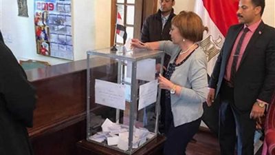 المصريون يواصلون الإدلاء بأصواتهم بجنوب أفريقيا