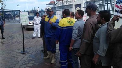 المغتربون يدلون بأصواتهم بميناءي الإسكندرية والدخيلة