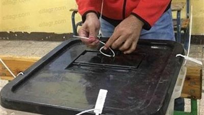 غلق باب التصويت في ثاني أيام الاستفتاء بالسفارة المصرية بالجزائر