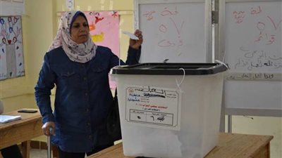 استمرار توافد المواطنين على لجان الاستفتاء الدستوري بالدقهلية