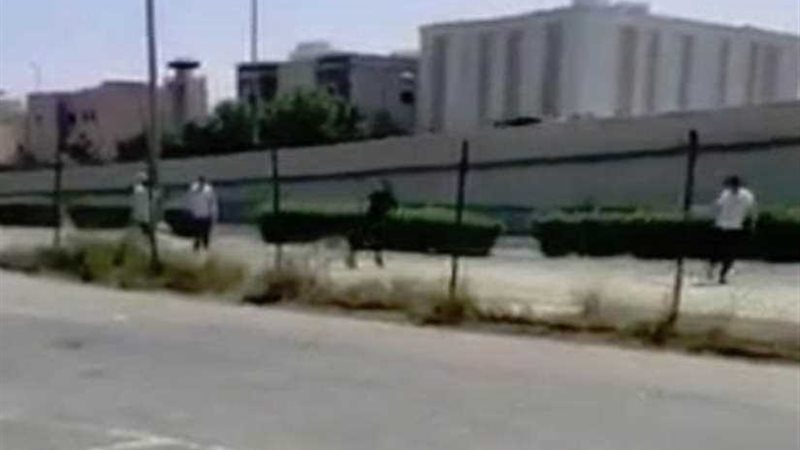 مصريون يطاردون إخوانياً