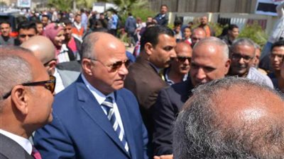 محافظ القاهرة يتفقد سير عملية الاستفتاء لليوم الثانى