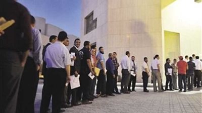 انتهاء التصويت في الاستفتاء على التعديلات الدستورية بالسفارة المصرية بالجزائر