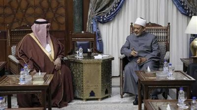 الإمام الأكبر: الشعوب العربية لا تزال تعول على الوحدة والتكامل والعمل العربي المشترك