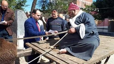 بعربات الكارو كبار السن للمشاركة في الاستفتاء بـ