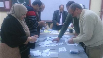 بدء أعمال الفرز في الاستفتاء الدستوري بالدقهلية