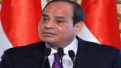 السيسي: السودانيون أثبتوا قدرتهم على التعبير عن إرادتهم المشروعة في التغيير