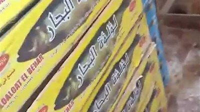 ضبط 25 طن فسيخ ورنجة ولحوم فاسدة بالجيزة