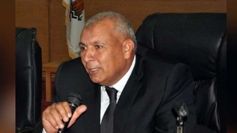 محافظ الوادي الجديد: