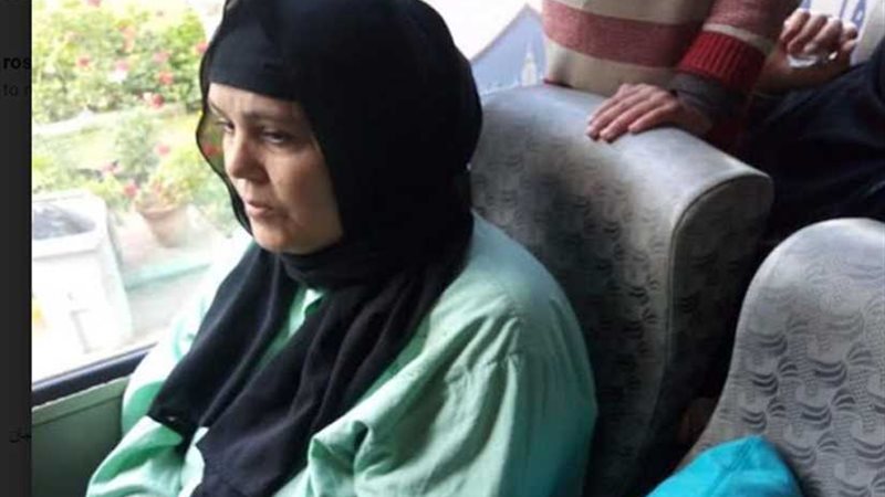 جامعة المنصورة: سيارات