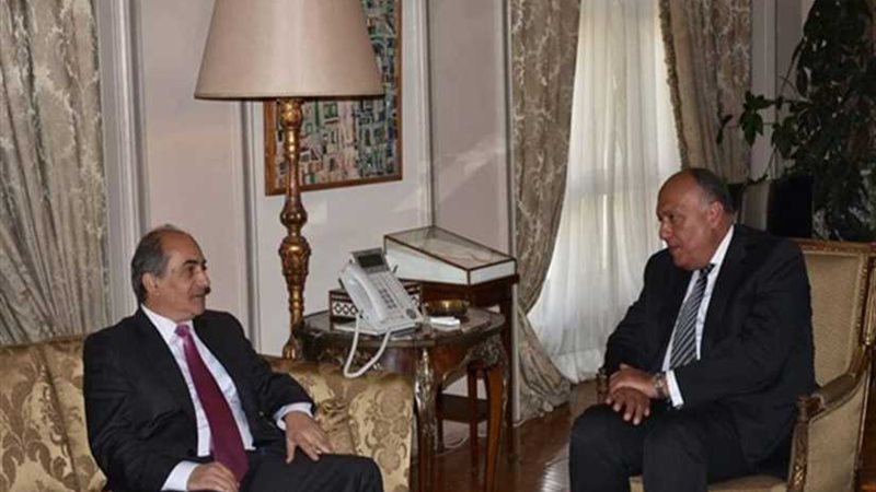 شكري يبحث مع رئيس