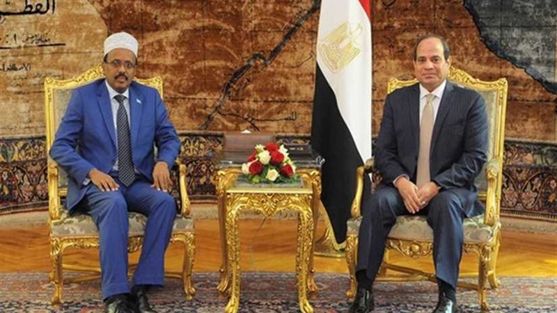 رئيس الصومال يصل