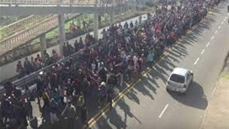 المكسيك تعتقل مئات