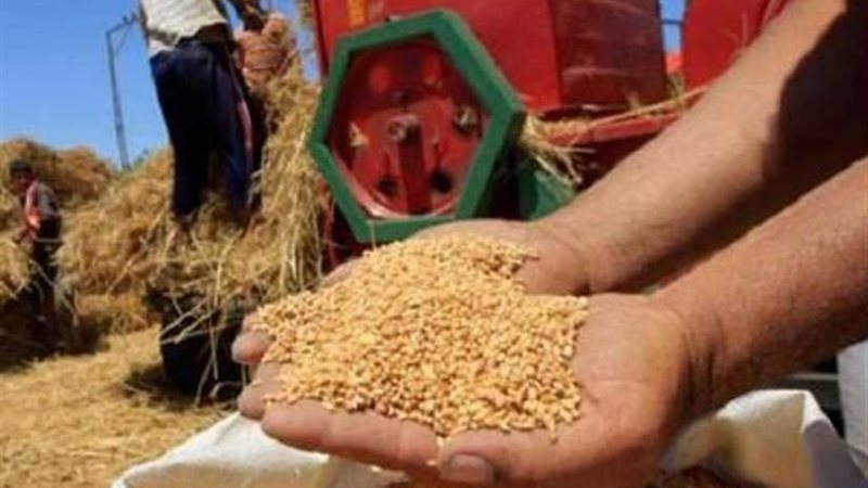 التموين تناشد المزارعين