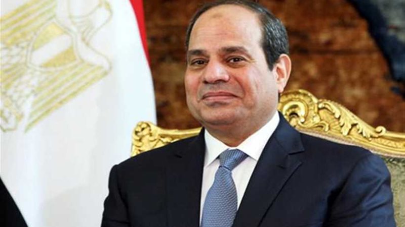السيسي: دول الجوار