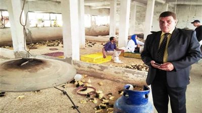 وكيل زراعة البحيرة يتفقد مزرعة الصفا للبط المسكوفي بالخزان (صور)